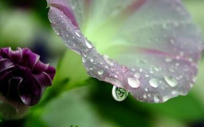 I colori della natura