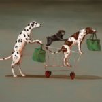 I miei tre “puzzle” scodinzolanti