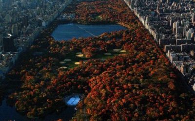 Vi regalo un bouquet di matite