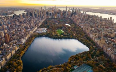 50 motivi per cui sono New Yorchese doc