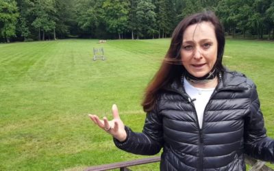 La Foresta di Harcourt