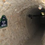 Un coccodrillo nelle fogne parigine