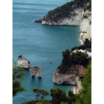 LA GIANDUIA DEL BAR HAITI