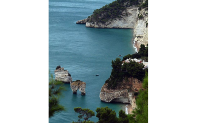 LA GIANDUIA DEL BAR HAITI