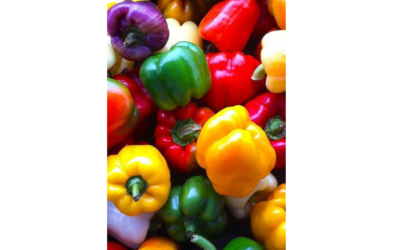 La peperonata di Lilli