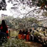 Quattro sari per quattro occasioni