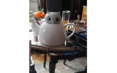 La civetta è ingrassata!