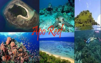 Apo Reef Natural Park