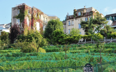 Montmartre in bottiglia