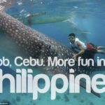Oslob, Cebu Whale Sharks