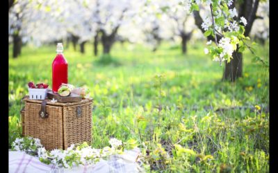 I segreti di Matilde. Pasquetta