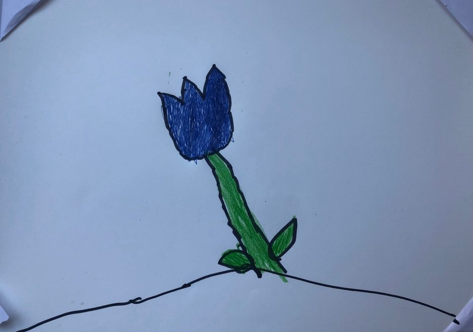 Voglia di blu