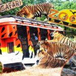 Zoobic Safari, Philippines