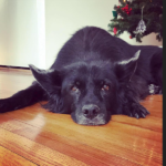 Null’altro ci è chiesto, se non resistere..