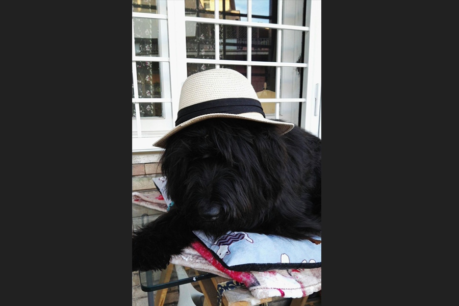 Tanto di cappello, Ebony!