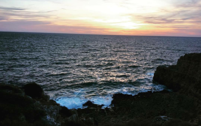 A cosa serve il mare?