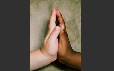 A me date i vostri stanchi