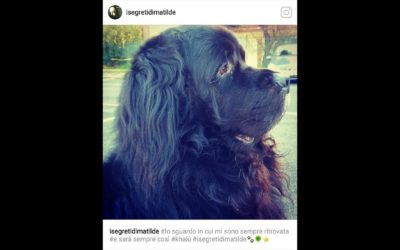 Buon compleanno “isegretidimatilde.com”  5 luglio 2017 – 5 luglio 2018: un anno creativo con voi.