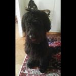 QUATTRO SENTINELLE A SANTA CHIARA