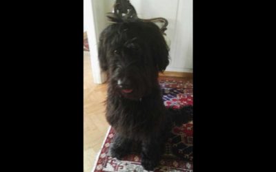 QUATTRO SENTINELLE A SANTA CHIARA