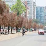 Gli ultimi saranno i primi