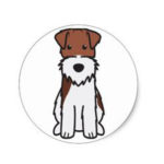 Voce e consapevolezza