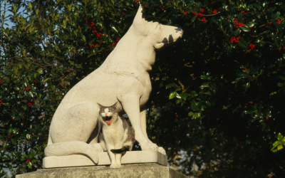 A PARIGI ANCHE IL CIMITERO DEGLI ANIMALI HA LA SUA STAR: RINTINTIN