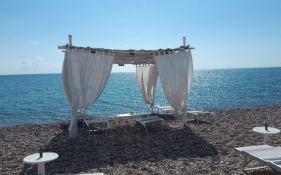 Ritorno alle origini