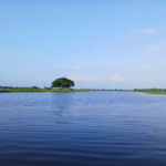 Una gita fuori porta