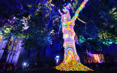 L’ALBERO PIÙ’ BELLO DI FRANCIA