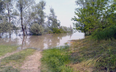 LA LETTERA DI ACHILLE