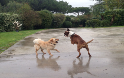 MEGLIO TARDI CHE MAI…