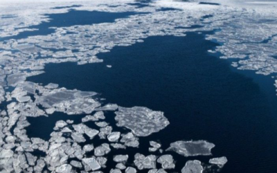 Il mondo non è nostro
