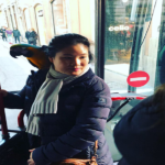 Il magico mondo del bus