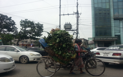 Il rickshaw