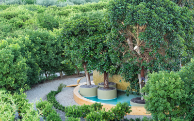 Radicepura Garden, quando la bellezza è green