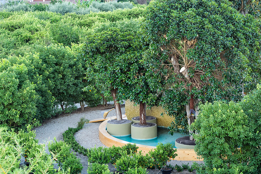 Radicepura Garden, quando la bellezza è green