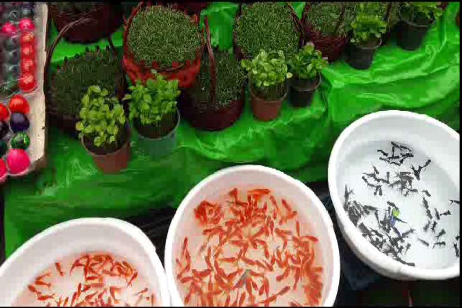 Nowruz alle porte! (part II)