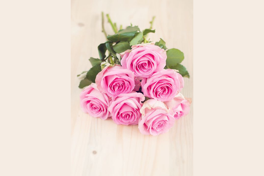 La rosa sparita