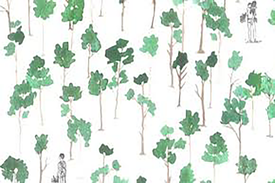 Faremo foresta
