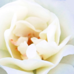 La gioia, tesoro (troppo) nascosto