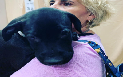 Sir Benedict Archibald