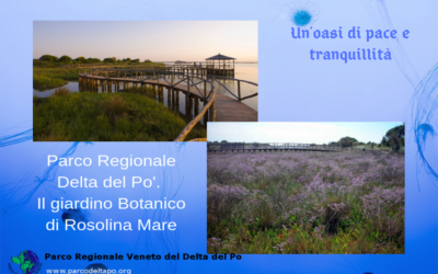 Giardino Botanico Litoraneo di Rosolina Mare