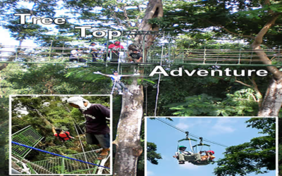 Tree Top Adventure Park