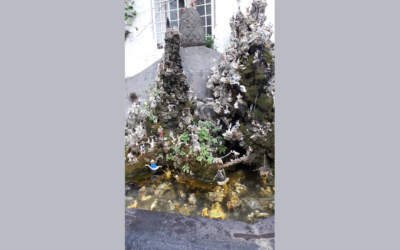 Zito spezzato con genovese di tonno