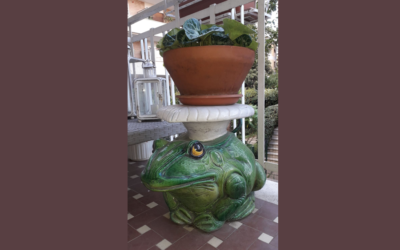 PAGINE DI UNA BELLA FAMIGLIA