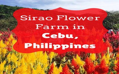Sirao Flower Farm