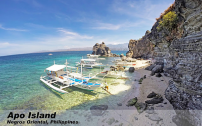 Apo Island