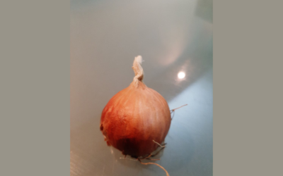 Delle cipolle e altri piccoli problemi