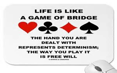 Il Bridge